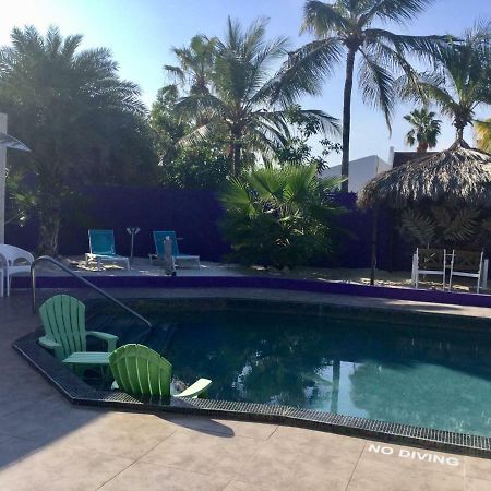 Sandcastle Beach Apartments Palm Beach Extérieur photo