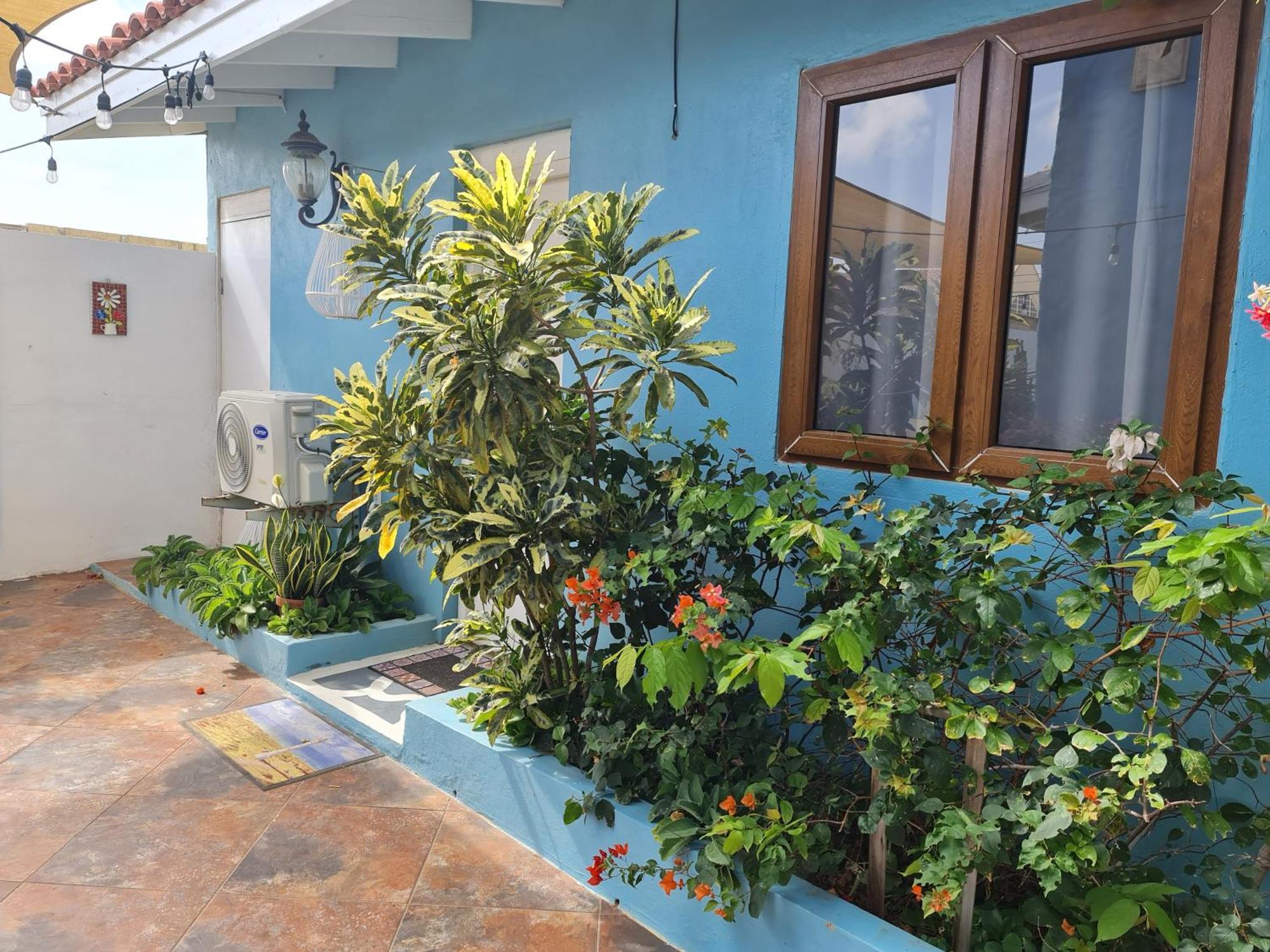 Sandcastle Beach Apartments Palm Beach Extérieur photo