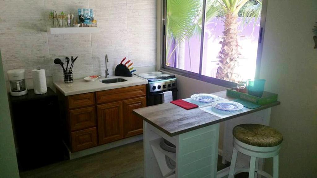 Sandcastle Beach Apartments Palm Beach Extérieur photo