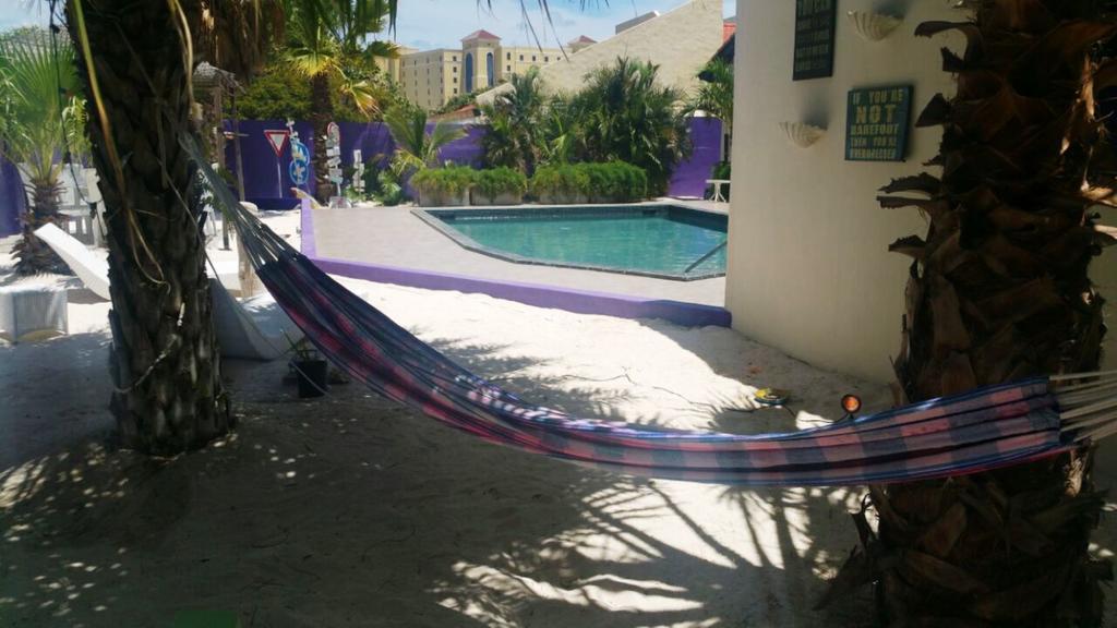 Sandcastle Beach Apartments Palm Beach Extérieur photo