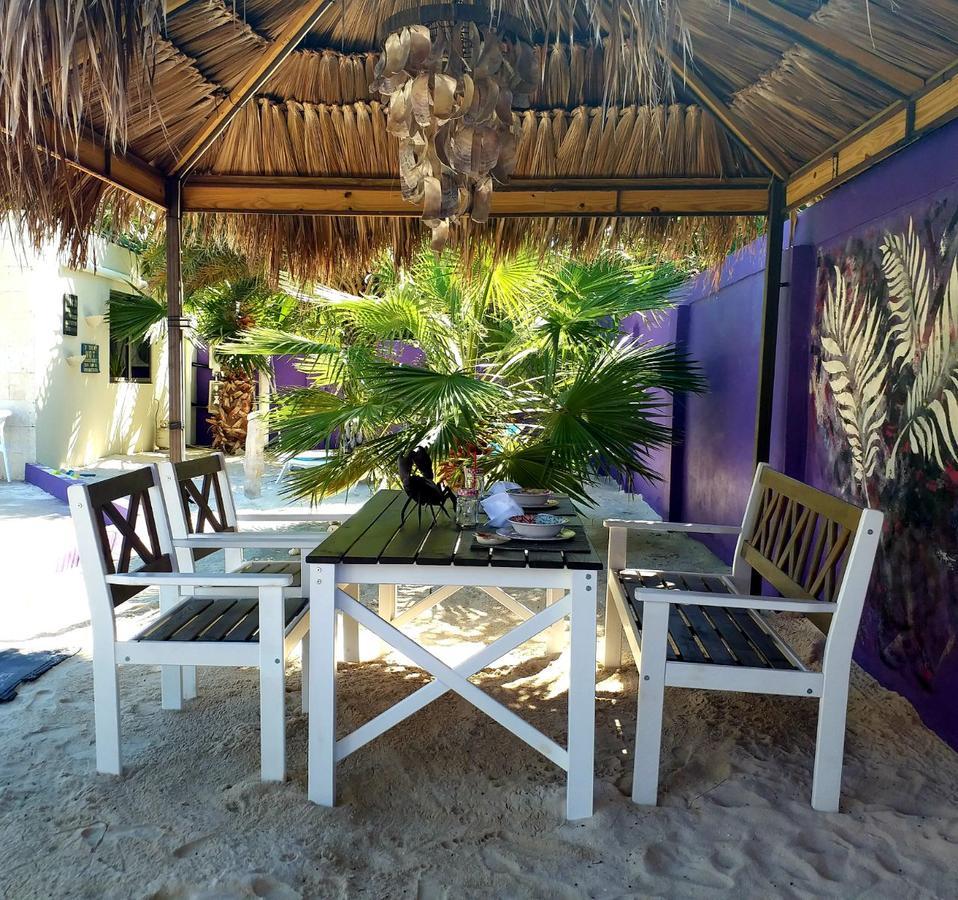 Sandcastle Beach Apartments Palm Beach Extérieur photo
