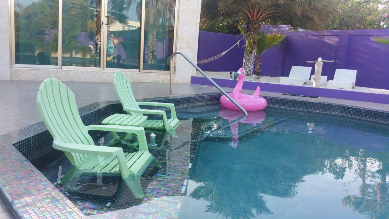 Sandcastle Beach Apartments Palm Beach Extérieur photo