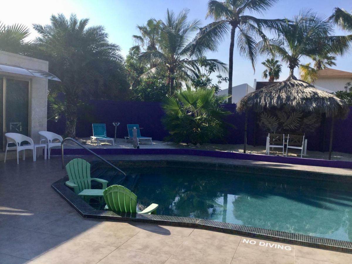 Sandcastle Beach Apartments Palm Beach Extérieur photo